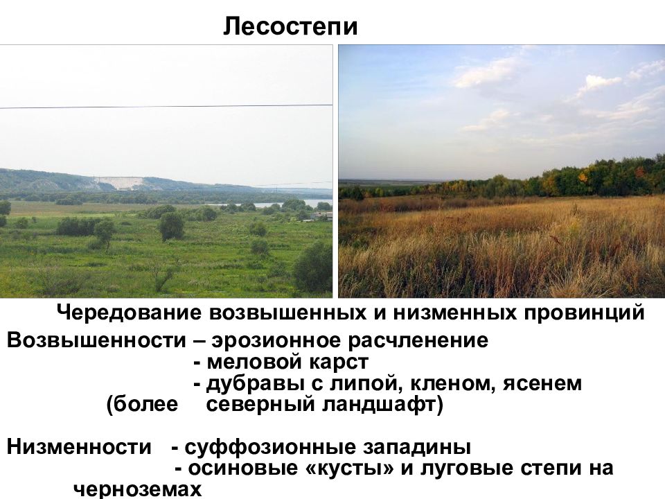 Низменные районы. Суффозионные процессы. Западина это в географии. Низменный край это.