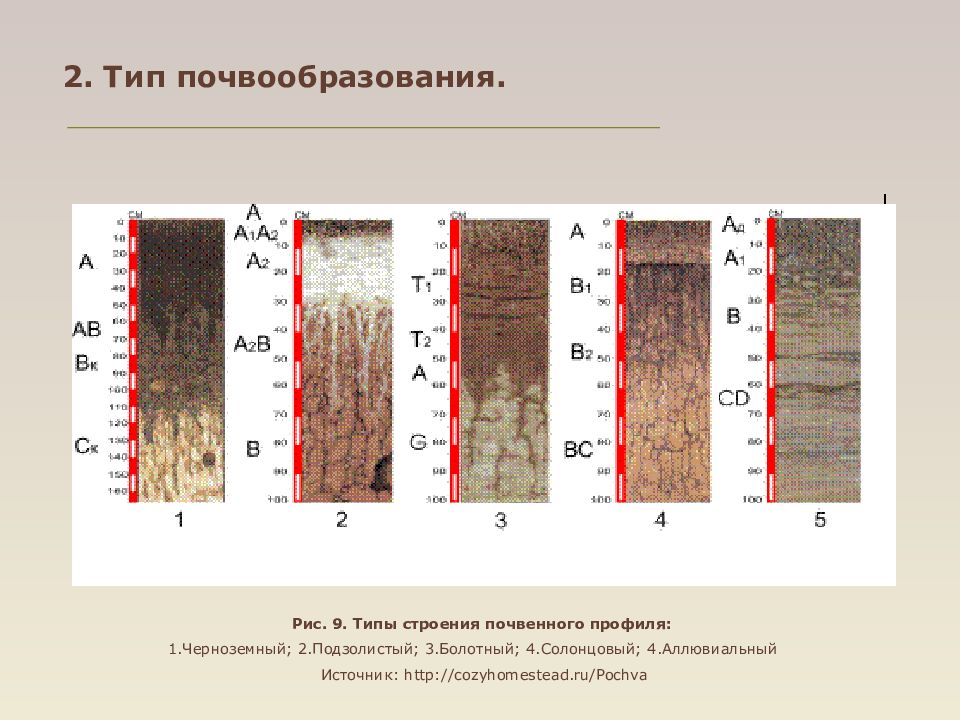 Болотно подзолистые почвы презентация