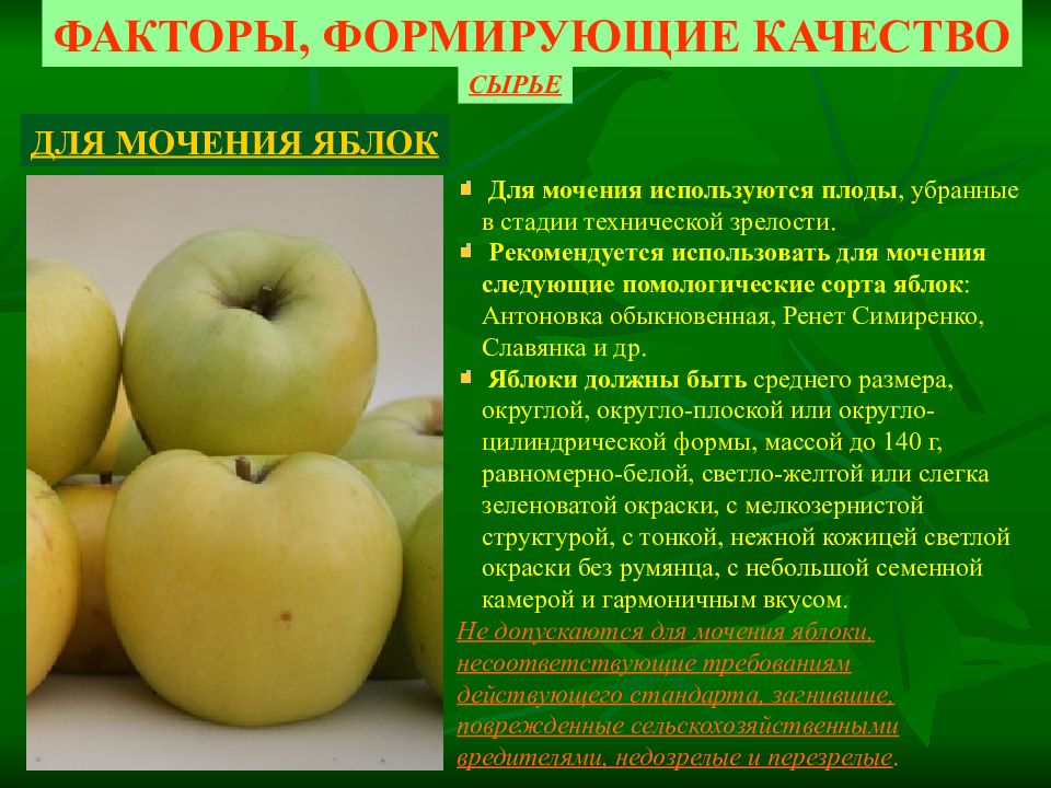 Влияет ли сорт яблок на скорость засушивания. Технология мочения яблок. Помологические сорта яблок. Сорта яблок презентация. Симиренко сорт яблок.