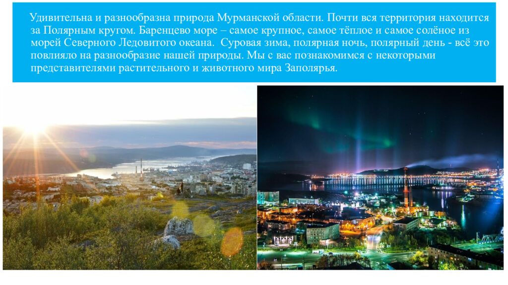 Удивительна и разнообразна природа Мурманской области. Почти вся территория находится за Полярным кругом. Баренцево море – самое крупное, самое тёплое и самое