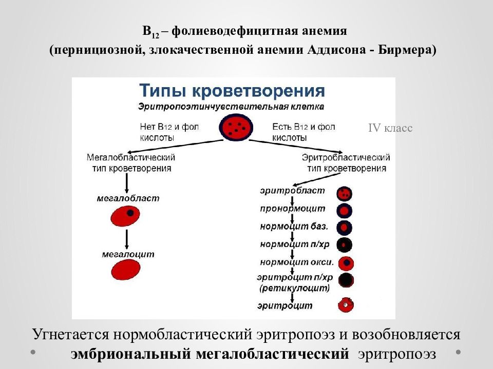 Можно сдавать кровь при анемии