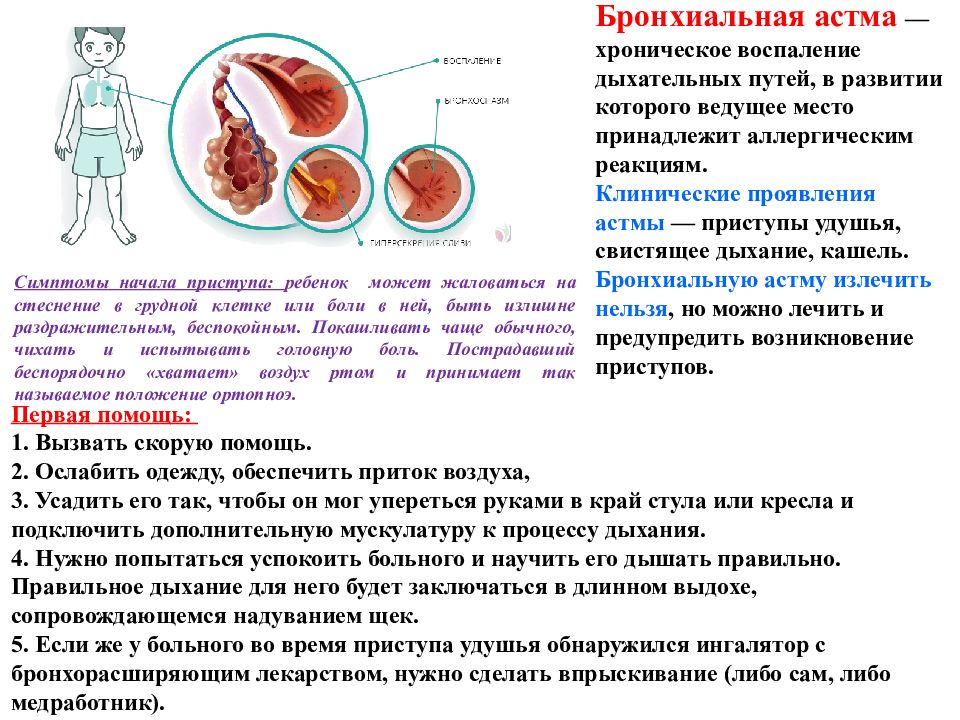 Питание при бронхиальной астме. Механизмы приступа удушья при бронхиальной астме. Жалобы больных с бронхиальной астмой. Жалобы при бронхиальной астме у взрослых. Воспаление дыхательных путей при бронхиальной астме.