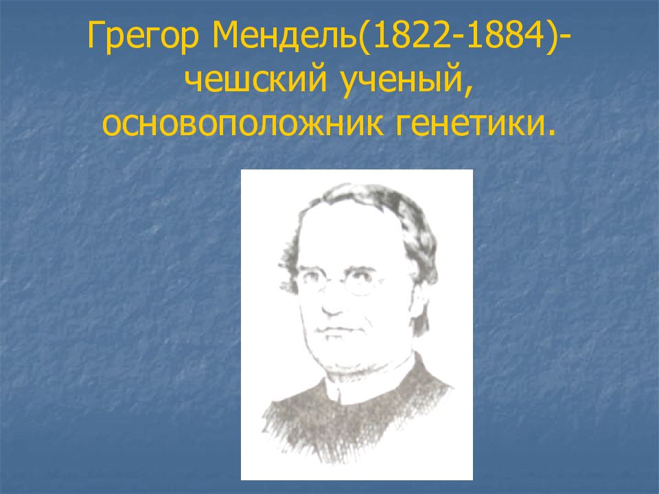 Проект по теме генетика и наследственные болезни человека