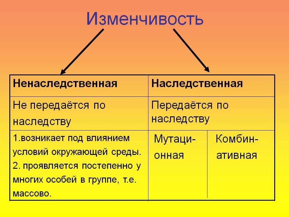 Наследственность и изменчивость презентация 10 класс