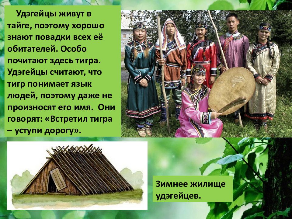 Народы проживающие в новосибирской. Коренные народы дальнего Востока удэгейцы. Народы живущие в тайге. Народ проживающий в тайге. Коренные жители тайги.
