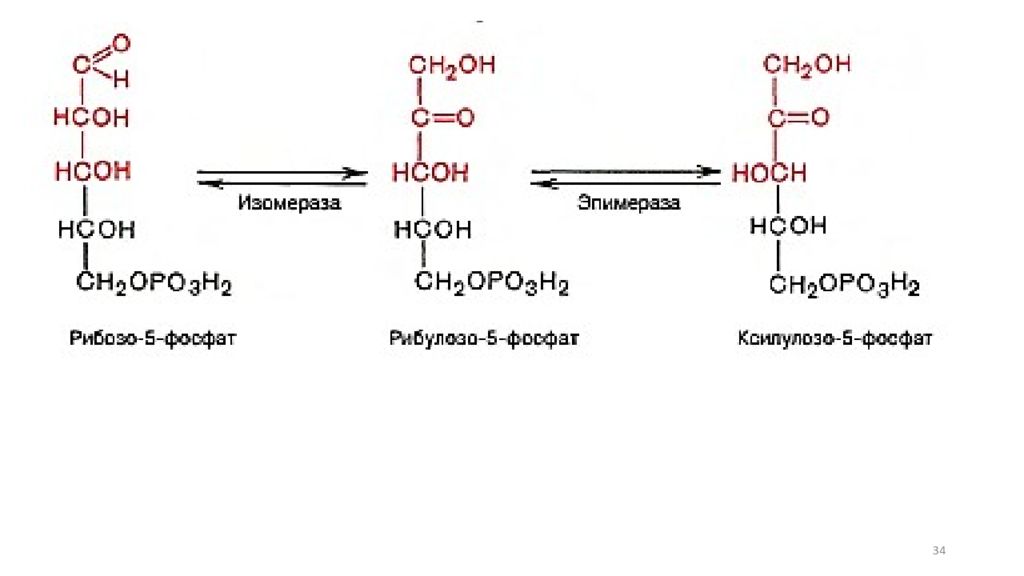 Рибозо 5 фосфат