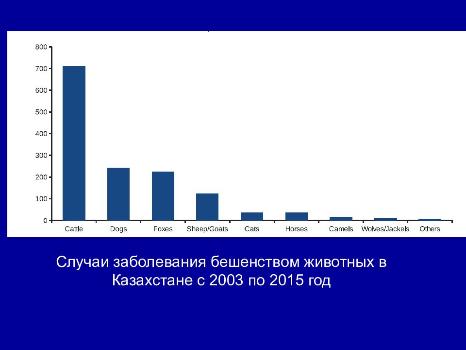 Бешенство эпидемиология презентация