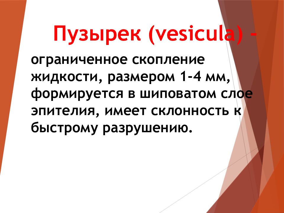 Пузырек ( vesicula ) -