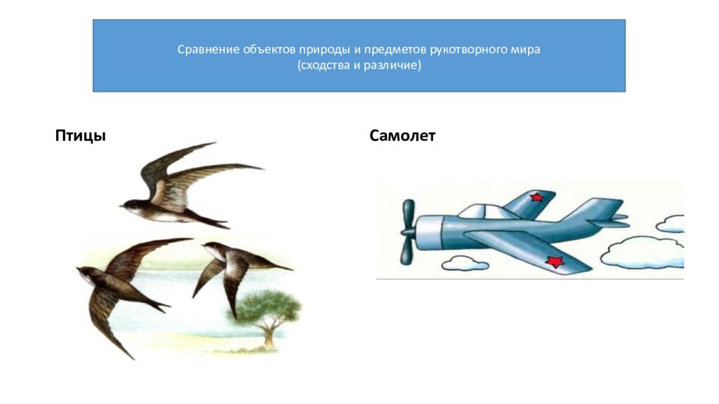 Сходства в природе. Самолет и птица сравнение. Сравнение объектов природы и предметов рукотворного мира. Самолет и птица сходства и различия. Сравни птица и самолёт.