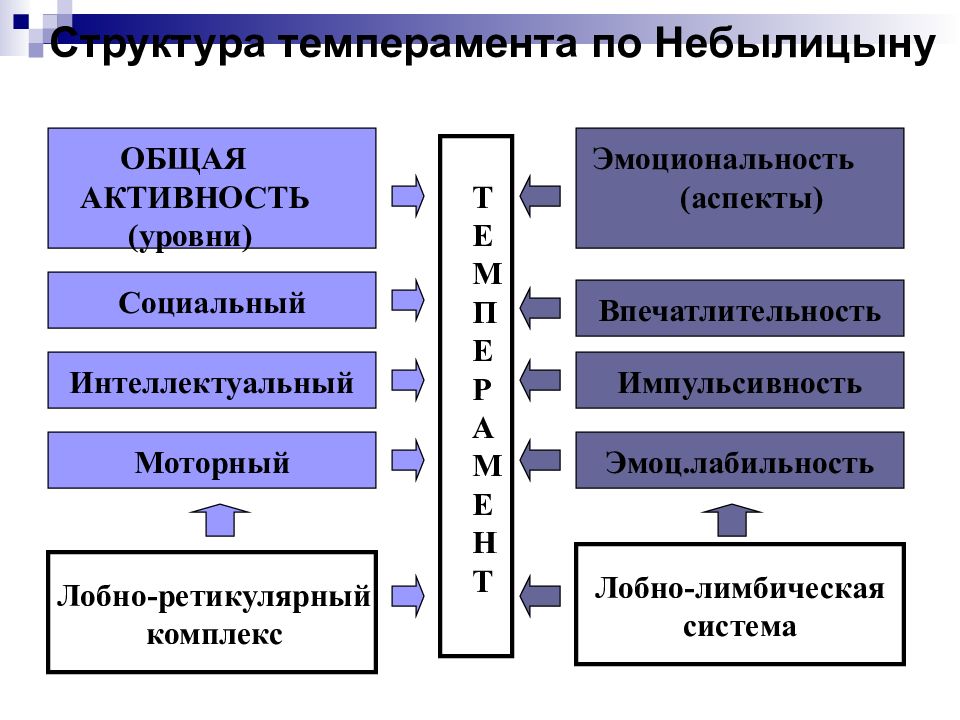 Структурно логическая схема темперамент и характер