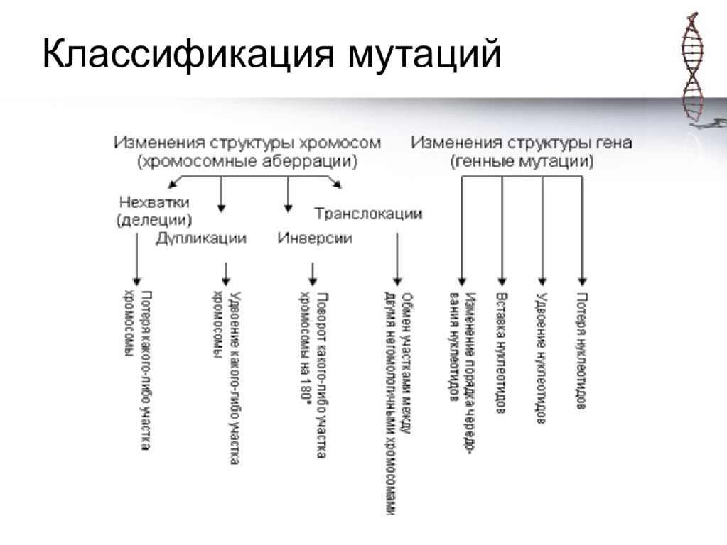 Генные мутации классификация