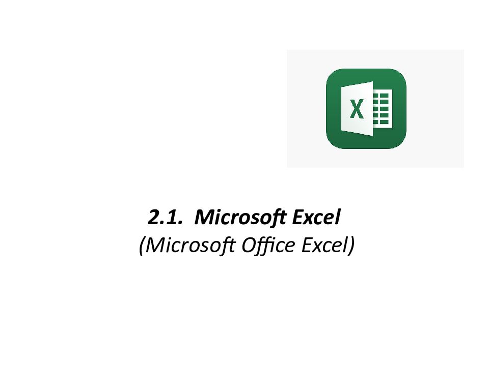 2.1. Microsoft Excel ( Microsoft Office Excel )