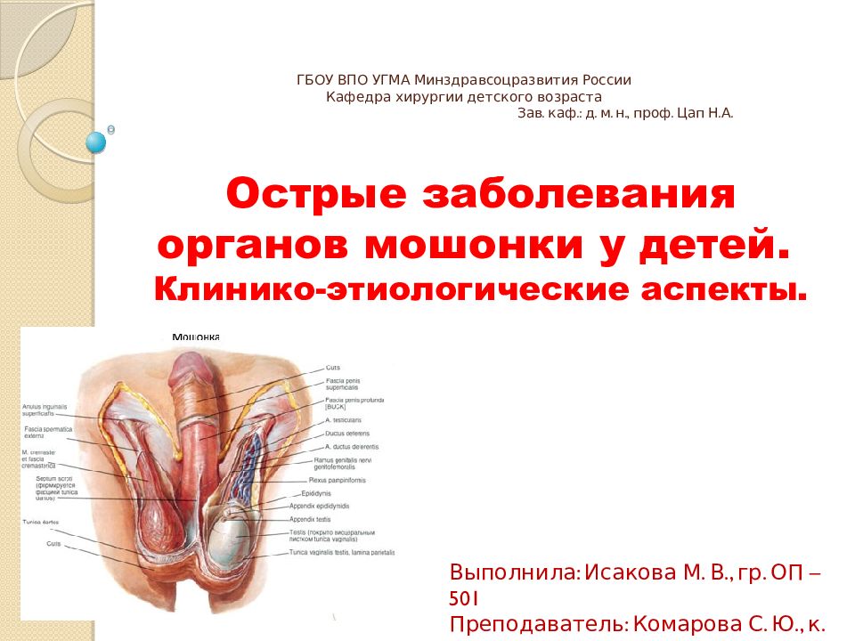 ГБОУ ВПО УГМА Минздравсоцразвития России Кафедра хирургии детского возраста Зав. каф.: д. м. н., проф. Цап Н.А.