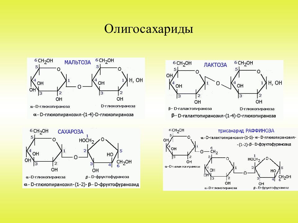 К каким углеводам относится лактоза олигосахарид. Олигосахариды структурная формула. Олигосахариды формула общая. Основные представители олигосахаридов. Олигосахариды примеры.