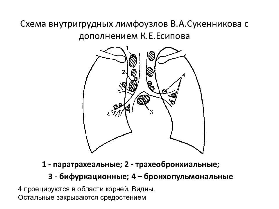 Туберкулез внутригрудных лимфатических узлов презентация