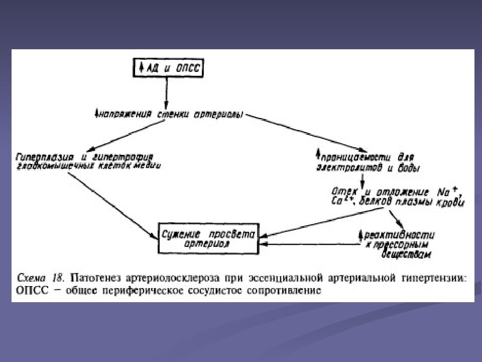 Патофизиология сосудистого тонуса презентация