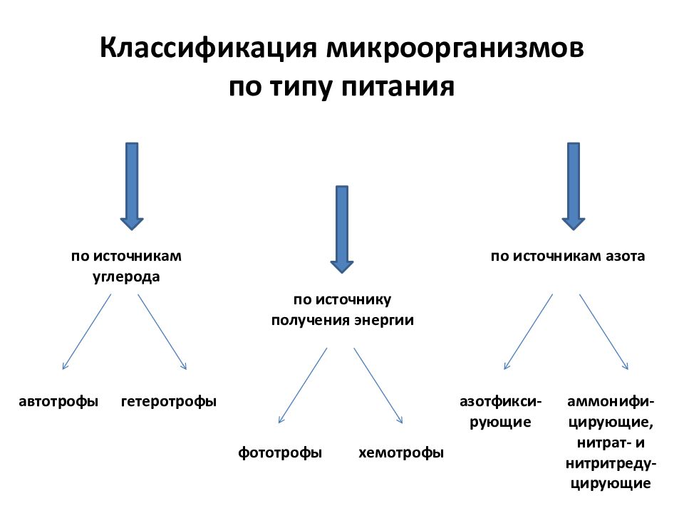 Классификация микробиологии