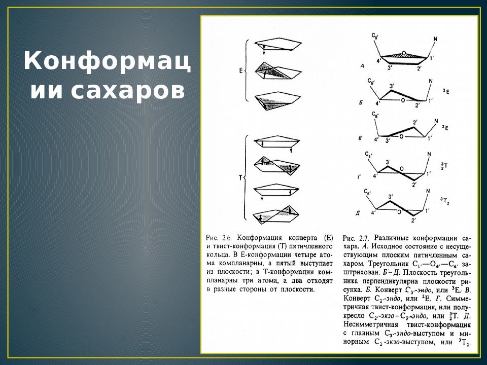 Нативная конформация это. Конформация это в биологии. Конформация и конфигурация разница. Виды конформаций. Виды конформации вирусов.