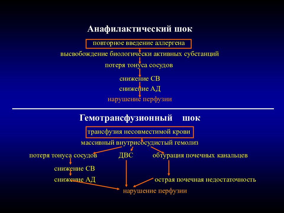 Анафилактический шок презентация патофизиология