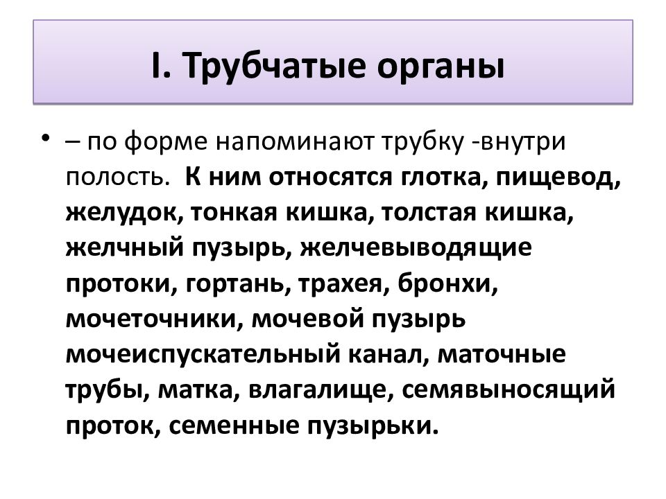 Общий план строения полых и паренхиматозных органов