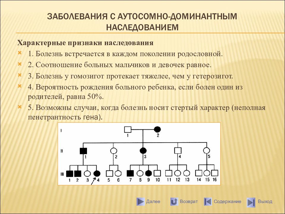 Тип наследования картинки