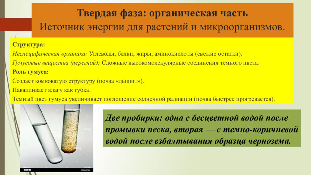 Твердая фаза: органическая часть Источник энергии для растений и микроорганизмов.
