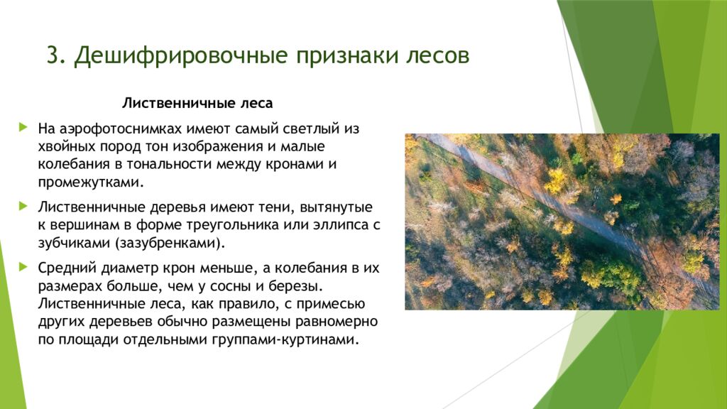 3. Дешифрировочные признаки лесов