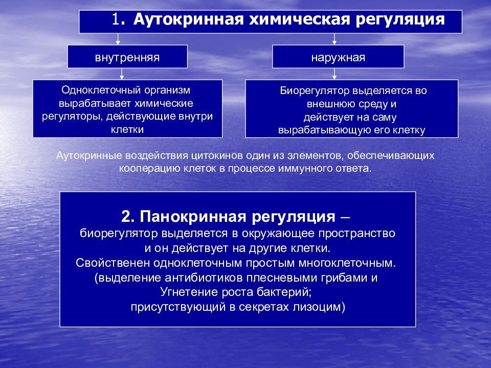 Внутренняя регуляция. Аутокринная регуляция. Аутокринная паракринная и эндокринная регуляция. Паракринная регуляция пример. Аутокринно-паракринная регуляция иммунного ответа.