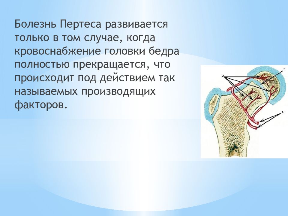 Болезнь пертеса презентация