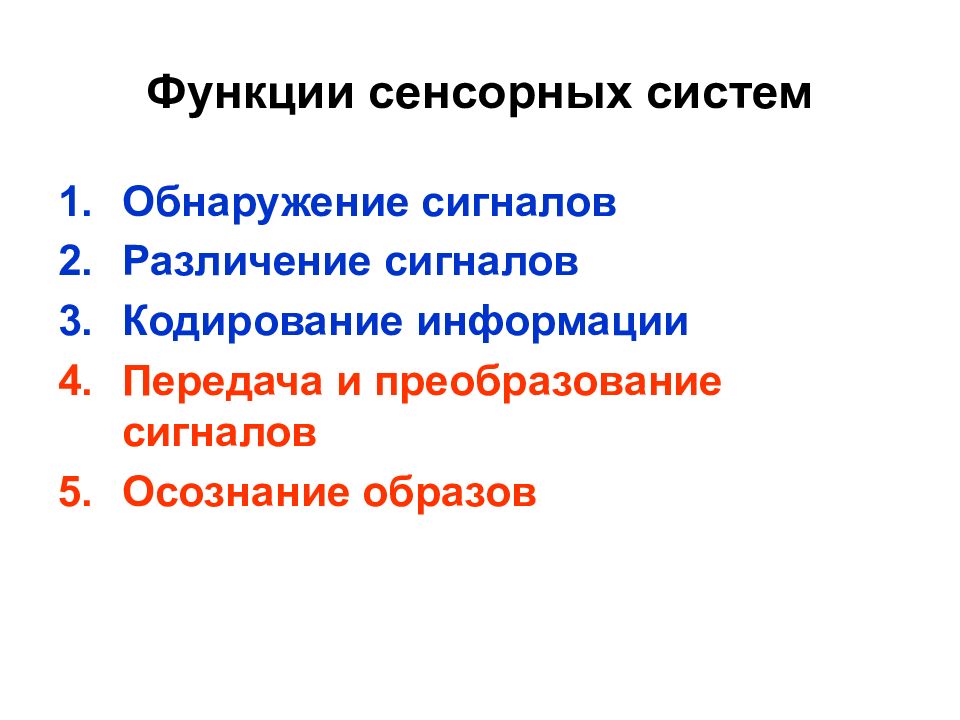 Функции сенсорной системы органов. Функции сенсорных систем физиология. Сенсорные функции это физиология. Основные функции сенсорных систем. Кодирование в сенсорных системах.