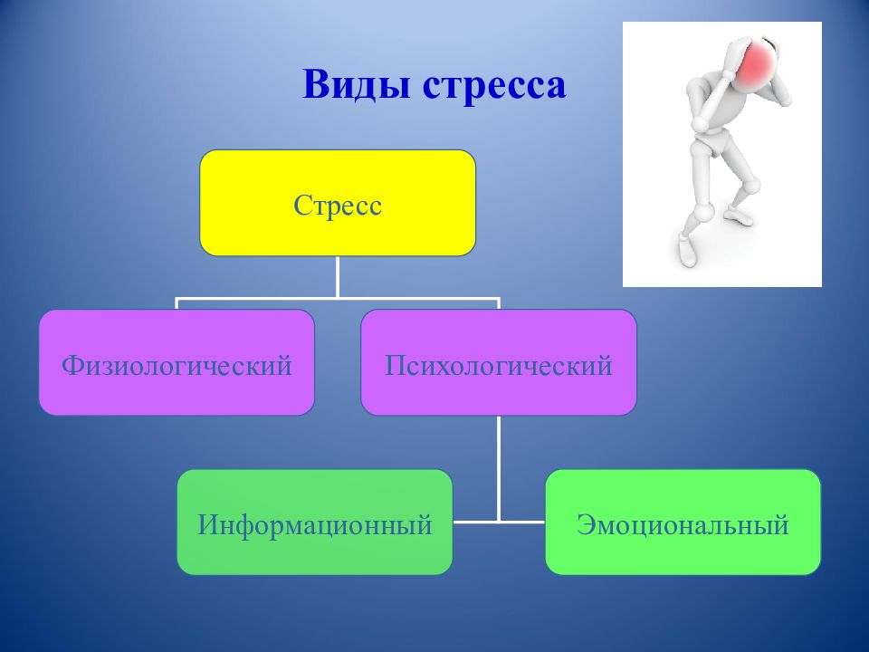 Стресс и поведение презентация