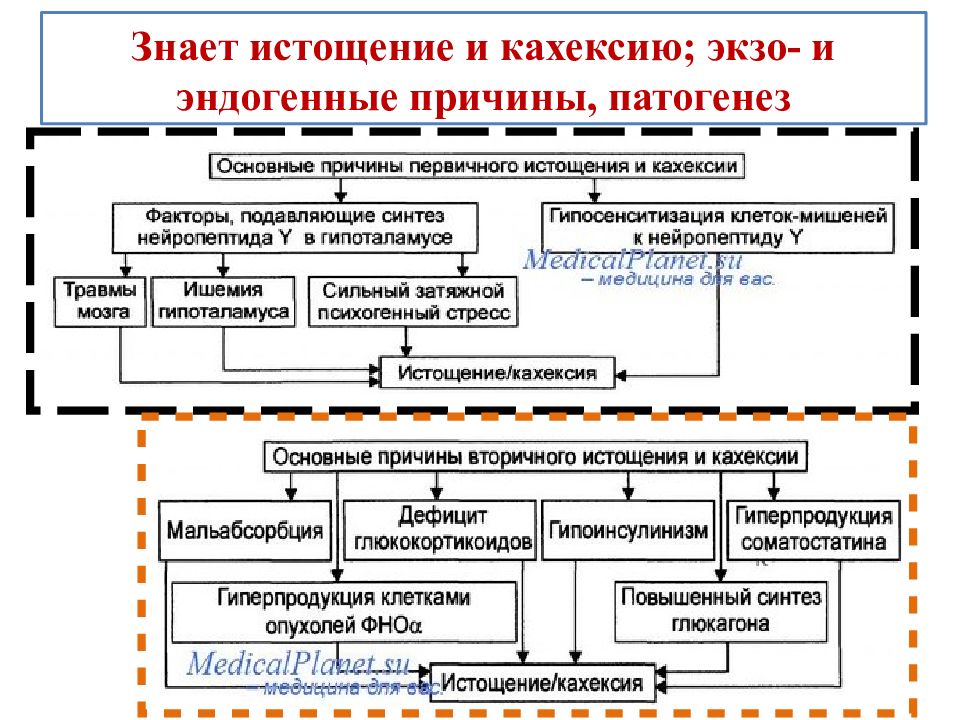 Схема патогенеза раковой кахексии патофизиология