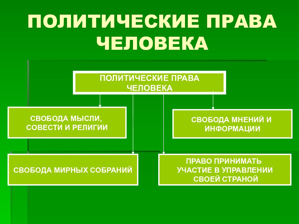 Три примера политических прав российских граждан. Полетическиеправа человека.