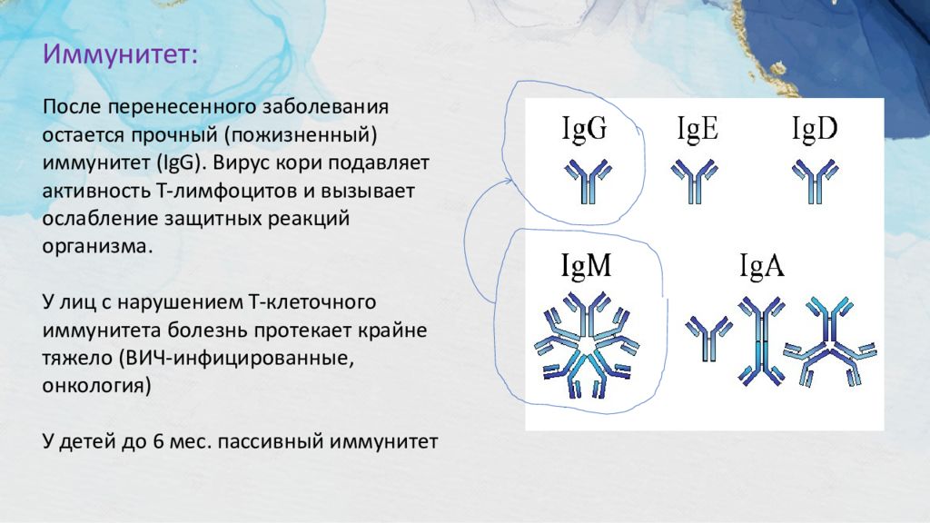 Вирус кори презентация