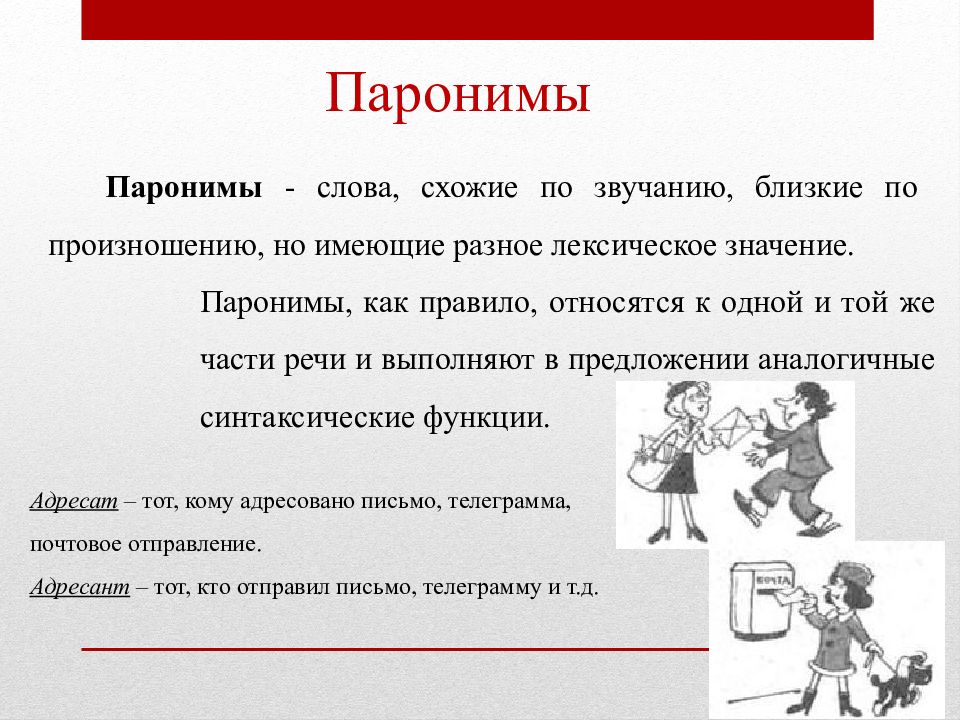 Слова омонимы слова синонимы слова паронимы. Синонимы антонимы паронимы. Омонимы и паронимы. Паронимы синонимы. Занизить паронимы.