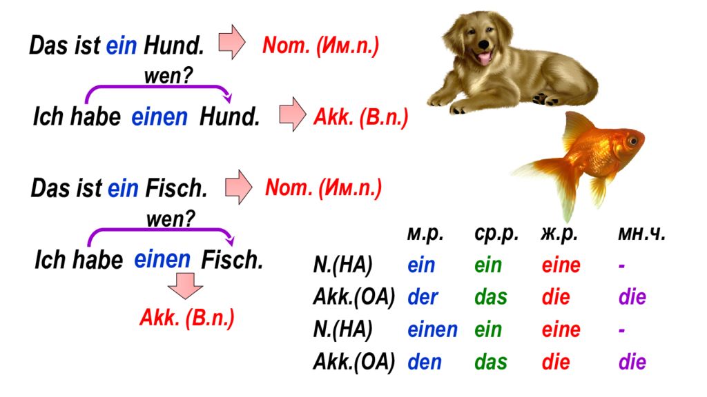 Ein eine в немецком. Ein и eine в немецком. Ist в немецком. Einen. Ich.