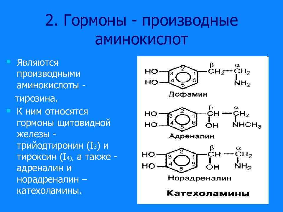 Производные аминокислот. Гормоны производные аминокислоты тирозин это. К гормонам-производным аминокислот относят. Какие гормоны относятся к производным аминокислот. Гормон-производное тирозина.