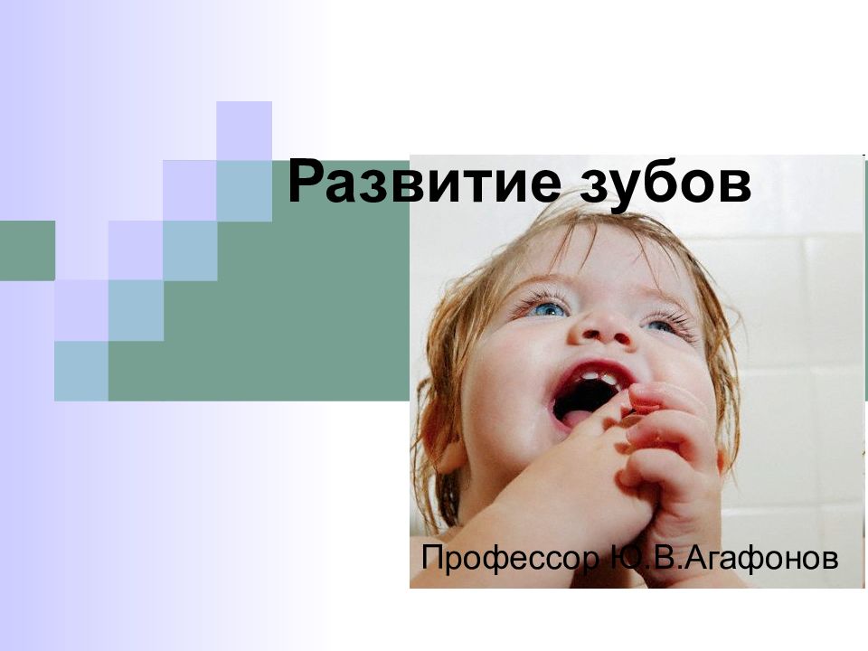 Развитие зубов