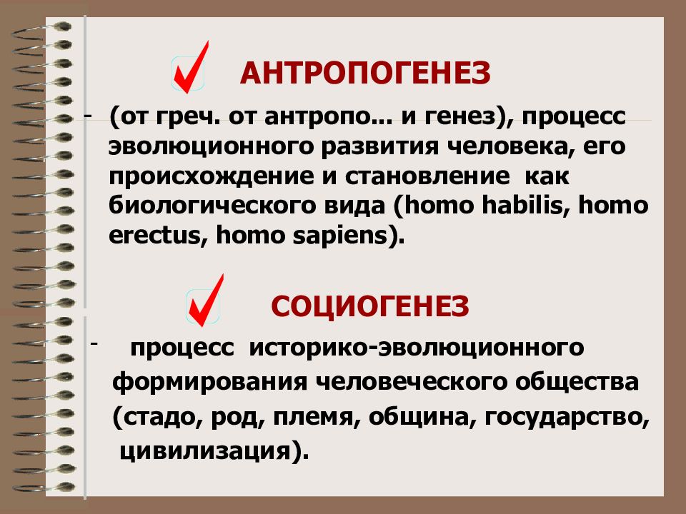 Социогенез. Антропогенез и социогенез. Антропогенез социогенез антропосоциогенез. Социогенез процесс. Антропогенез социогенез Культурогенез.