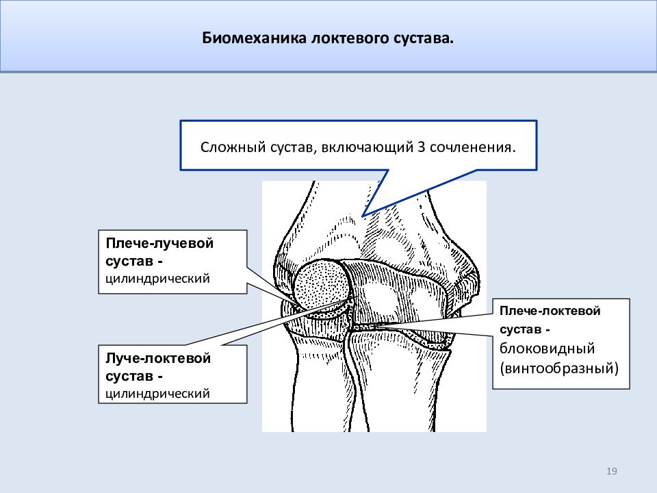 Схема локтевого сустава