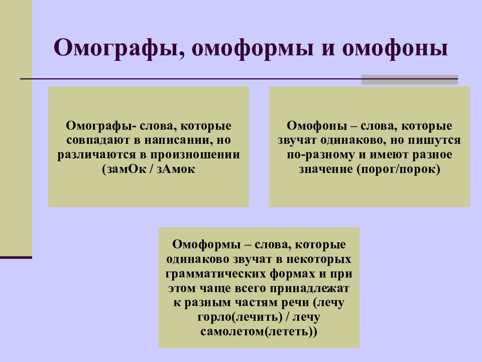 Омографы омоформы