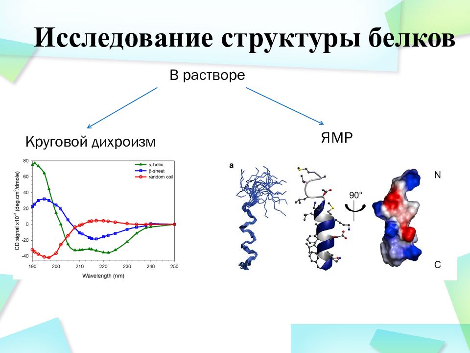 Белки исследования. Метод кругового дихроизма. Круговой дихроизм белков. Спектроскопия кругового дихроизма. Методы исследования белков.