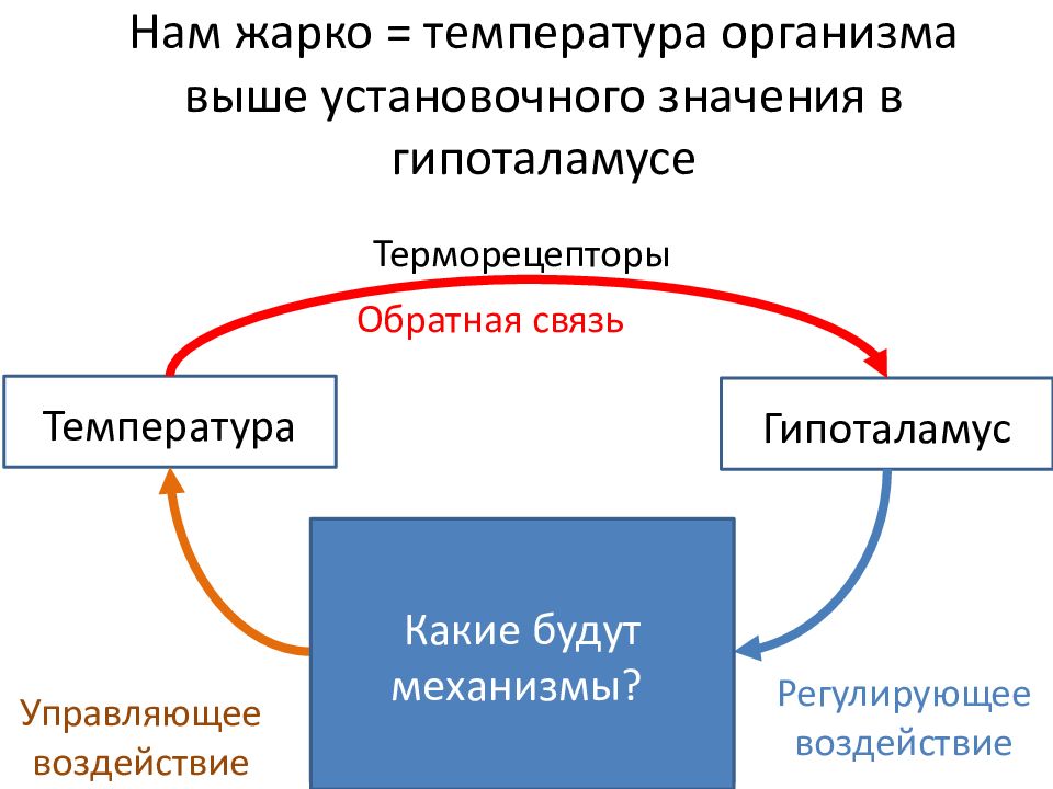 Органы сходные по общему плану строения и происхождению но выполняющие разные функции называются