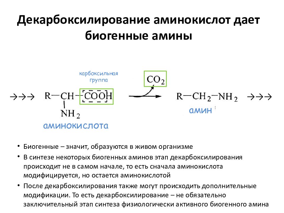 Декарбоксилирование аминокислот презентация