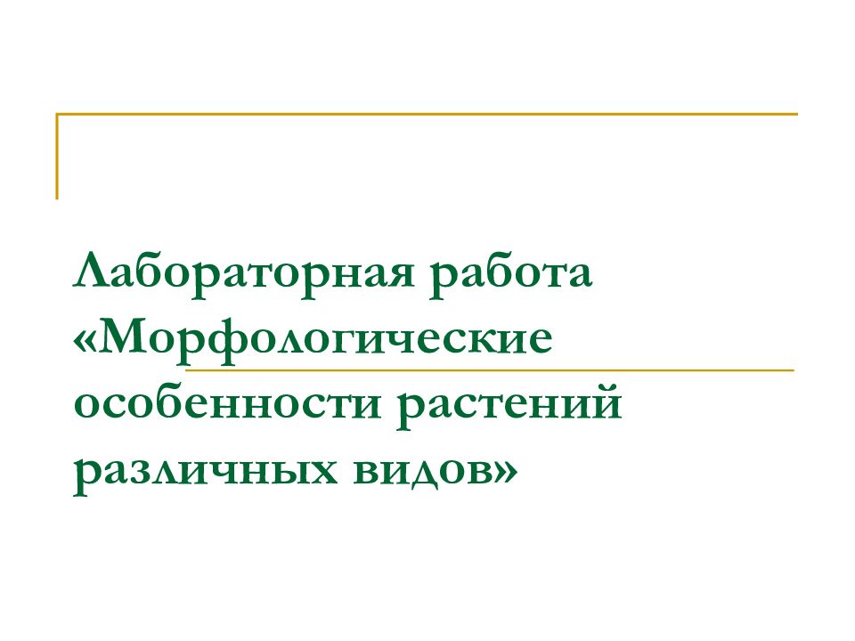 Лабораторная работа морфологические особенности растений. Лабораторная работа морфологические особенности различных видов. Лабораторная работа морфологические особенности вида. Морфологические особенности растений.