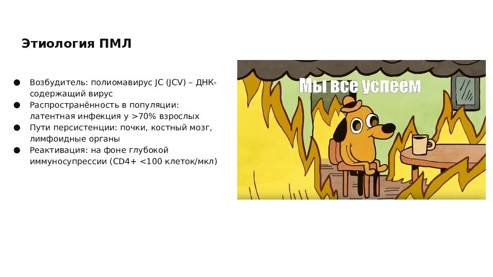 Этиология ПМЛ
