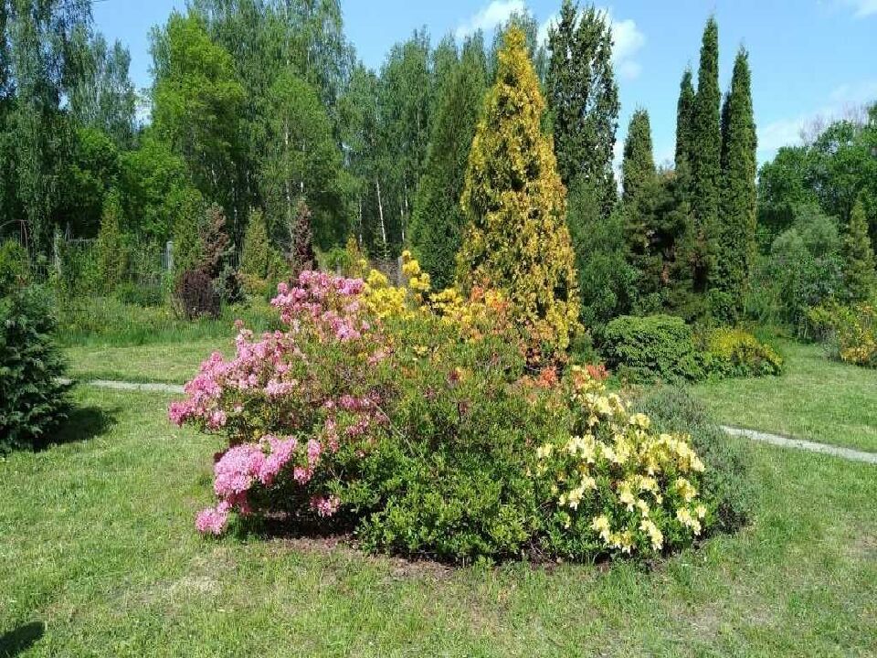 ОХРАНА РАСТИТЕЛЬНОГО МИРА