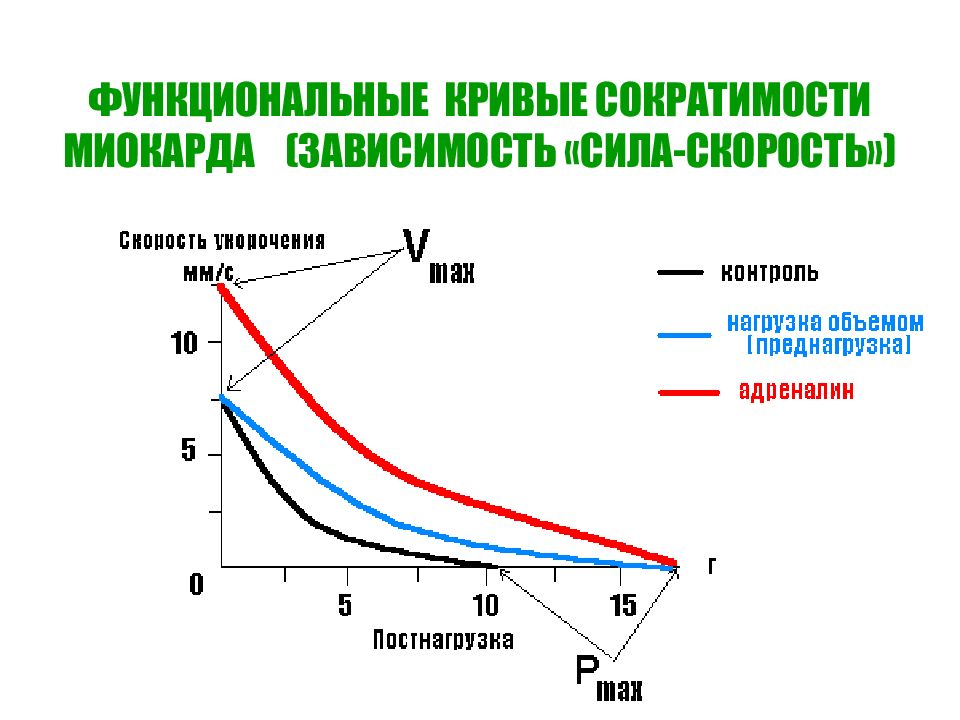 Кривая зависимости. Функциональные кривые. Функциональные кривые сердца. Зависимость силы и скорости. Функциональные кривые сердца (кривые Гайтона)..