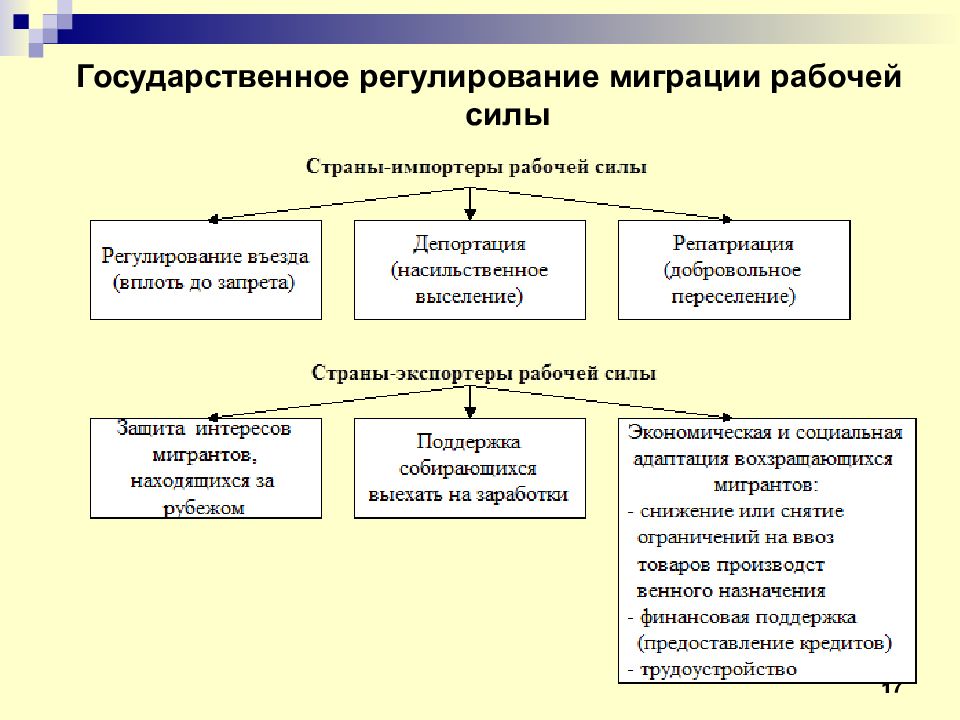 Международная миграция рабочей силы презентация