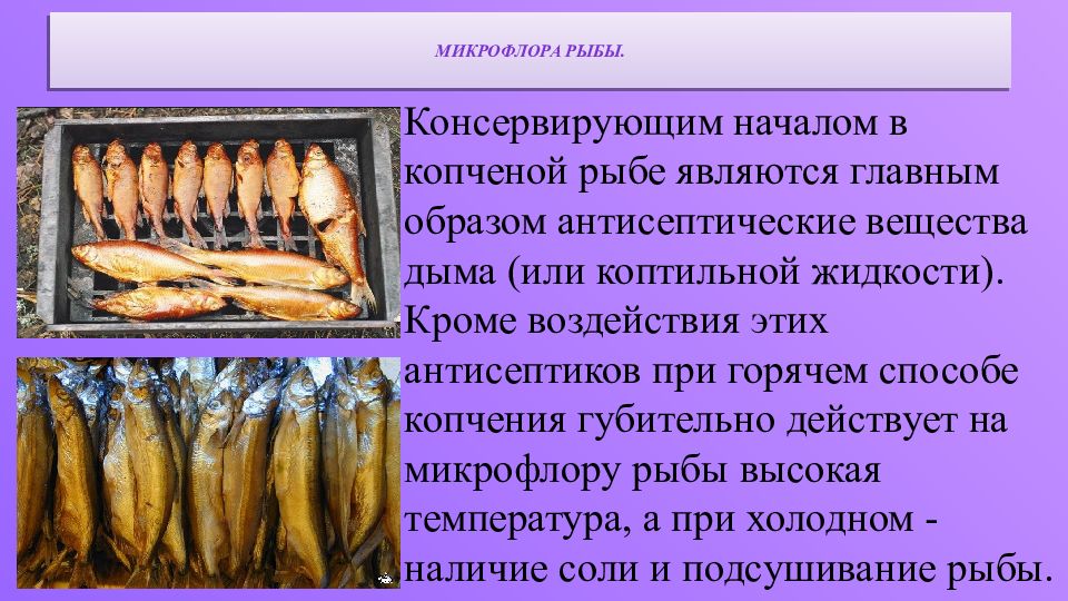 Микробиология рыбных продуктов презентация